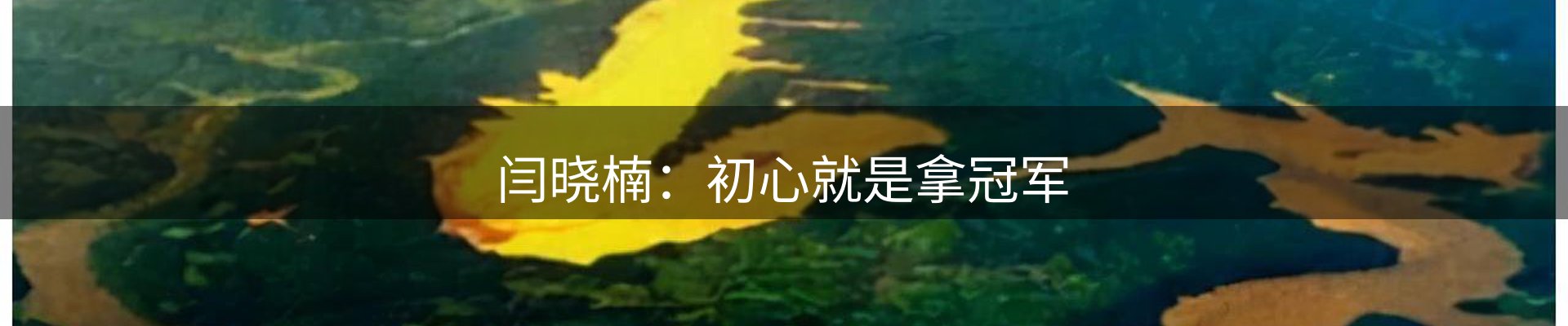 新闻阵地